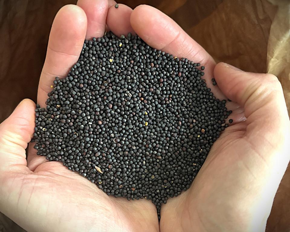 Gewichtskissen von Neurodinge